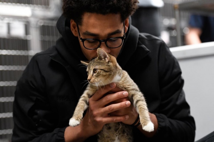 普尔：NBA里养猫的人很多 好色先生TV在线下载有一个秘密的圈子常私下交流